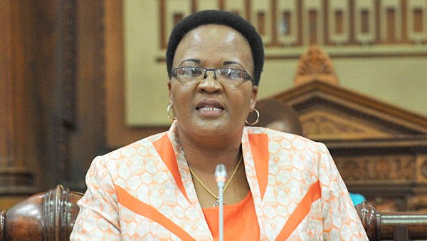 South Africa: MEC Mathabo Leeto Opens Motati Community Library - News ...